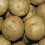 Irish Cobbler Heirloom Potatoes