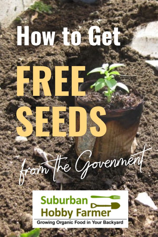 Free Seeds from the Government. It's Easy If You Know How