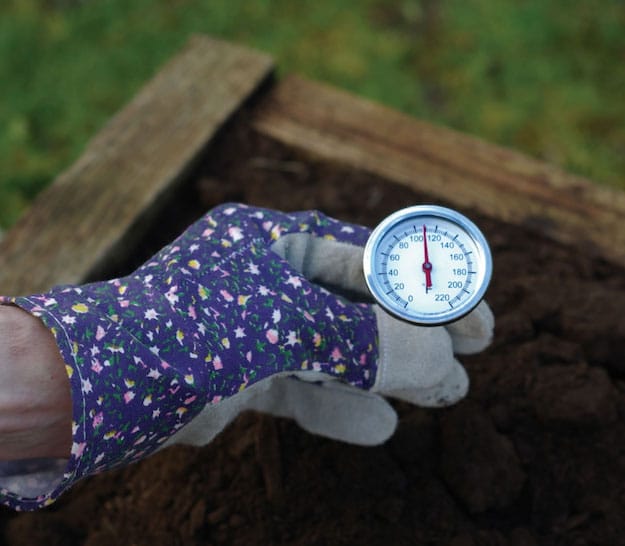 Soil Temperature for Transplanting Vegetables