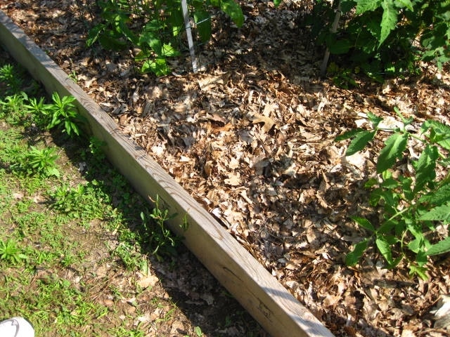 Mulched Raised Bed
