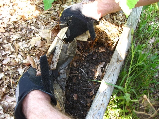 Mulching Raised Garden Beds