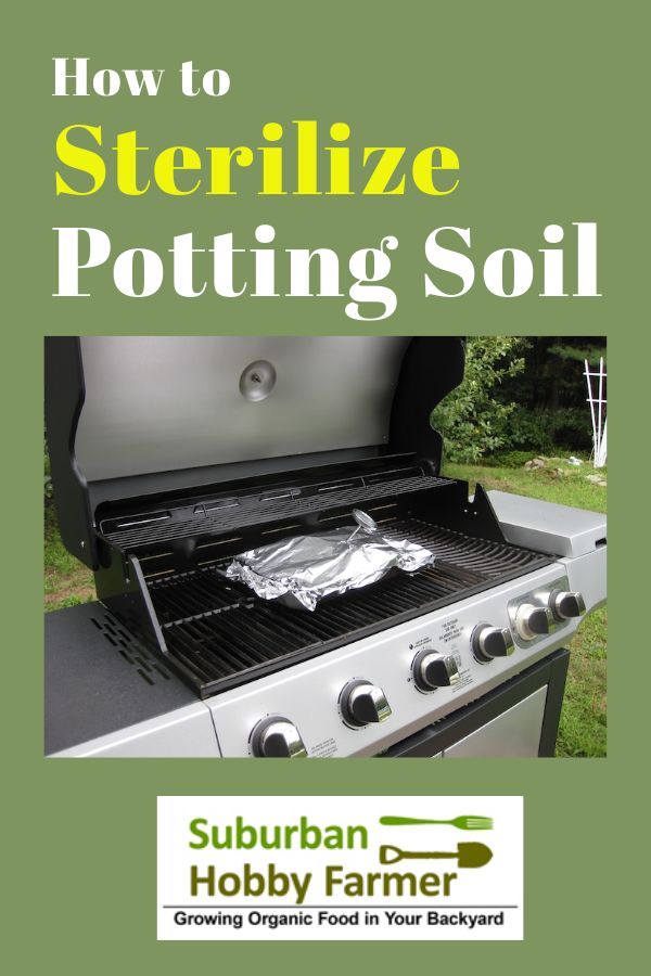 How to Sterilize Soil