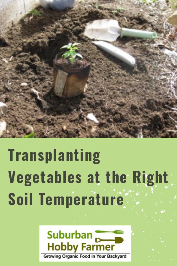 Soil Temperature