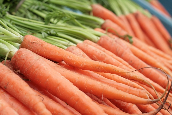 Growing Carrots in Winter