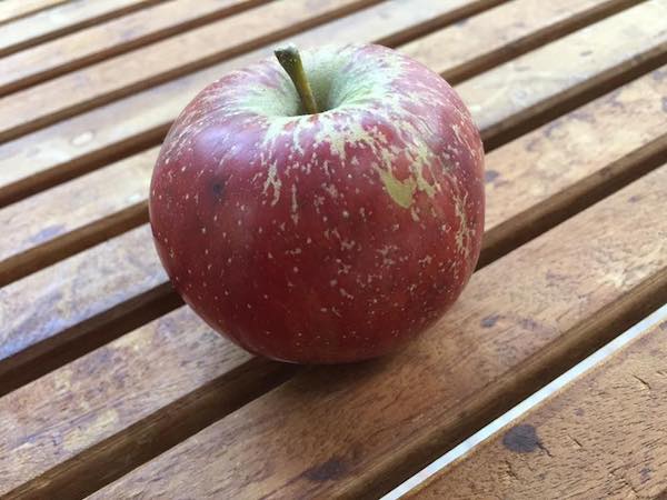 Heirloom Apple